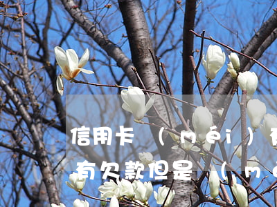 信用卡沒(méi)有逾期辦不了信用卡-有欠款但是沒(méi)有逾期可以申請(qǐng)信用卡嗎