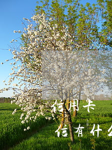 信用卡沒(méi)有逾期過(guò)征信有什么影響(信用卡沒(méi)有逾期過(guò)征信有什么影響嘛)