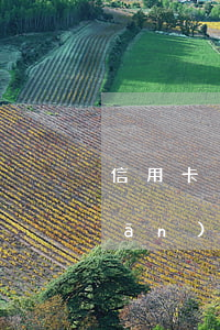 信用卡沒(méi)有還完有逾期能擔(dān)保嗎-有沒(méi)有信用卡逾期沒(méi)還的