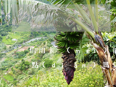 信用卡沒(méi)能力償還可以每月還一點(diǎn)嗎(信用卡沒(méi)能力償還可以每月還一點(diǎn)嗎)