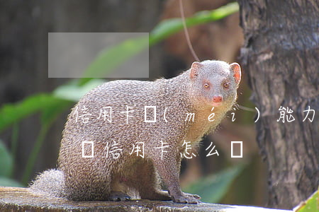 信用卡沒(méi)能力還 沒(méi)法還信用卡怎么辦