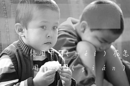 信用卡沒(méi)花怎么扣透支利息(花信用卡的錢(qián)有利息嗎)