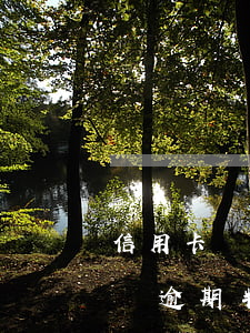 信用卡沒(méi)逾期e招貸逾期了(e招貸逾期半個(gè)月會(huì)怎么樣)