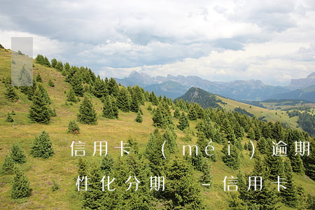 信用卡沒(méi)逾期能辦理個(gè)性化分期嗎-信用卡沒(méi)逾期能辦理個(gè)性化分期嗎安全嗎