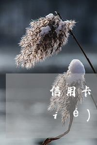 信用卡沒(méi)逾期還不起怎么協(xié)商-為什么信用卡逾期協(xié)商不了
