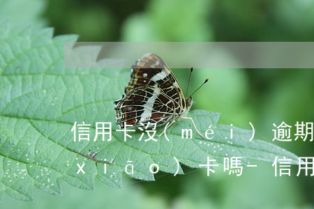 信用卡沒(méi)逾期還完以后可以銷(xiāo)卡嗎-信用卡沒(méi)逾期還完以后可以銷(xiāo)卡嗎安全嗎