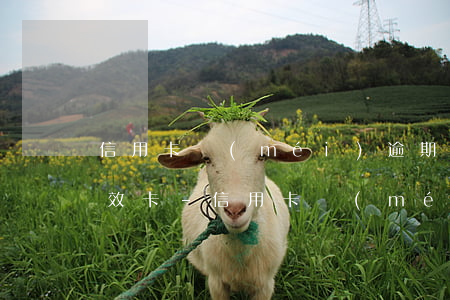 信用卡沒(méi)逾期顯示無(wú)有效卡-信用卡沒(méi)逾期顯示無(wú)有效卡信息