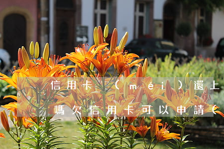 信用卡沒(méi)還上能協(xié)商嗎(欠信用卡可以申請(qǐng)協(xié)商還款)