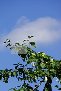 信用卡沒(méi)還最低算不算逾期(信用卡還了最低還款算逾期嗎)