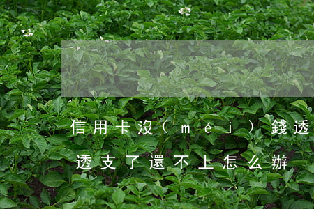 信用卡沒(méi)錢透支了怎么辦(信用卡透支了還不上怎么辦)