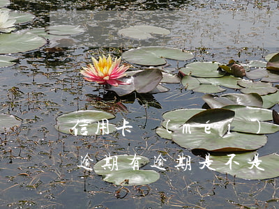 信用卡沒(méi)開(kāi)通但是有逾期(有逾期是不是辦不了信用卡)
