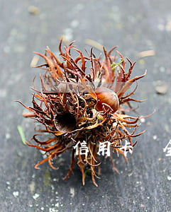 信用卡沒全還算逾期嗎