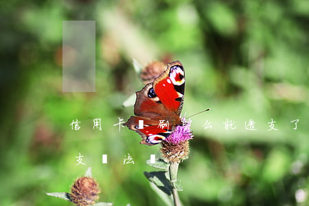 信用卡沒刷怎么就透支了呢(刷自己信用卡透支違法嗎)