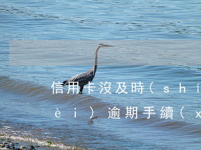信用卡沒及時(shí)注銷造成年費(fèi)逾期 手續(xù)費(fèi)問題造成信用卡逾期