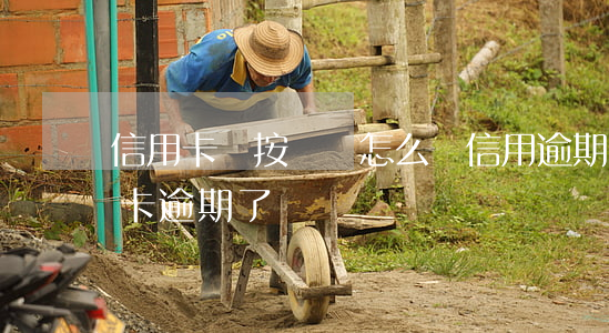 信用卡沒按時還怎么會信用逾期(沒注意信用卡逾期了)