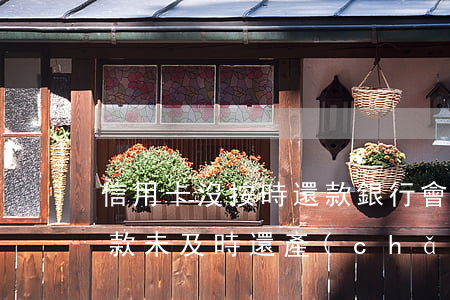 信用卡沒按時還款銀行會怎么處理(信用卡還款未及時還產(chǎn)生信用問題怎么辦)