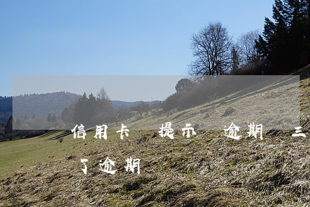 信用卡沒提示總逾期兩三天(有兩次信用卡忘了逾期)