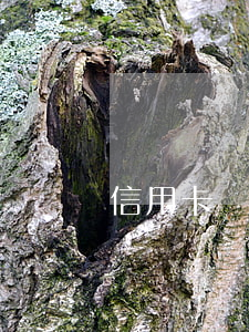 信用卡沒提示逾期了 信用卡沒提示逾期了嗎