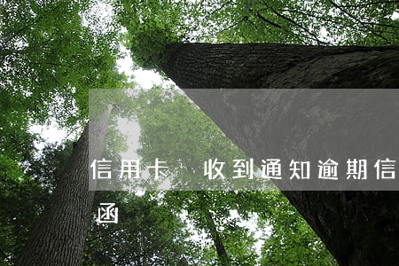 信用卡沒收到通知逾期(信用卡逾期收到通知函)