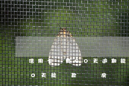 信用卡沒有90天逾期能房貸嗎(逾期超過90天能貸款嗎買房嗎)