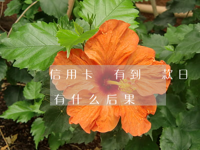 信用卡沒有到還款日說逾期(信用卡逾期沒還有什么后果)