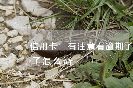 信用卡沒有注意看逾期了(信用卡沒注意逾期了怎么辦)