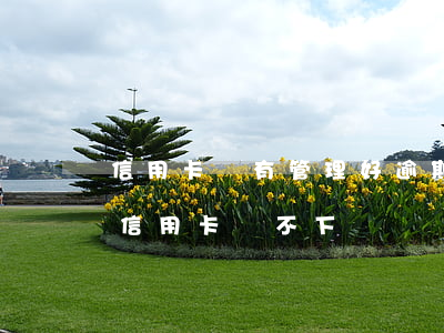 信用卡沒有管理好逾期了怎么辦(沒有逾期過信用卡辦不下來)