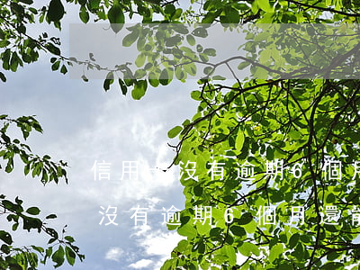 信用卡沒有逾期6個月還能提額嗎-信用卡沒有逾期6個月還能提額嗎