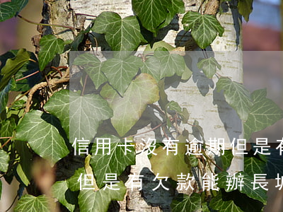信用卡沒有逾期但是有欠款(信用卡沒有逾期但是有欠款能辦長城金融嗎?)
