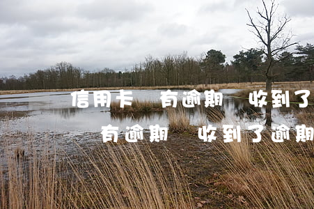 信用卡沒有逾期卻收到了逾期短信-信用卡沒有逾期卻收到了逾期短信怎么辦