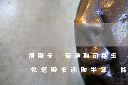 信用卡沒有逾期可以主動協(xié)商嗎(欠信用卡逾期半年還能不能協(xié)商)