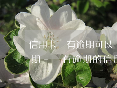 信用卡沒有逾期可以協(xié)商停息分期-沒有逾期的信用卡可以協(xié)商還款嗎