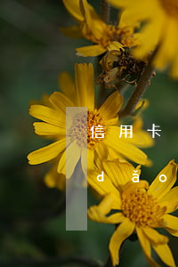 信用卡沒有逾期可以減免利息嗎(因疫情導(dǎo)致信用卡逾期利息不給減免怎么辦)