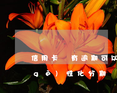 信用卡沒有逾期可以申請(qǐng)個(gè)性化分期嗎(還沒逾期的情況下能不能申請(qǐng)個(gè)性化分期)