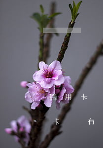 信用卡沒有逾期可以申請個性化分期-信用卡沒有逾期可以申請個性化分期嗎