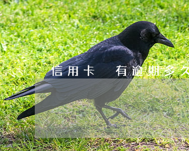 信用卡沒有逾期多久能恢復(fù)征信