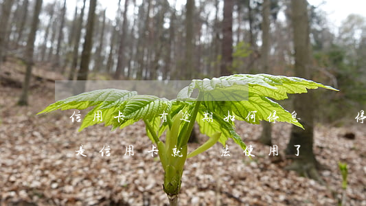 信用卡沒有逾期如何停息掛賬(停息掛賬是不是信用卡就無法使用了)
