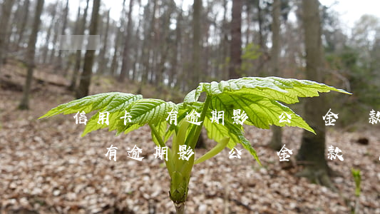 信用卡沒有逾期影響公積金貸款嗎-信用卡沒有逾期影響公積金貸款嗎怎么辦