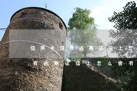 信用卡沒有逾期征信上怎么會有-信用卡沒有逾期征信上怎么會有記錄