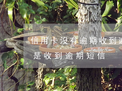 信用卡沒有逾期收到逾期短信-沒有逾期但是收到逾期短信