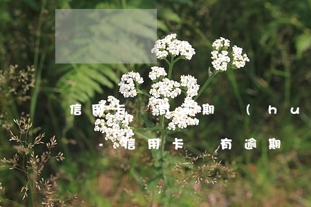 信用卡沒有逾期會(huì)被讓一次還清嗎-信用卡沒有逾期會(huì)被讓一次還清嗎怎么辦