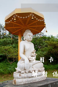 信用卡沒有逾期有機(jī)會(huì)解封(信用卡沒有逾期有機(jī)會(huì)解封)