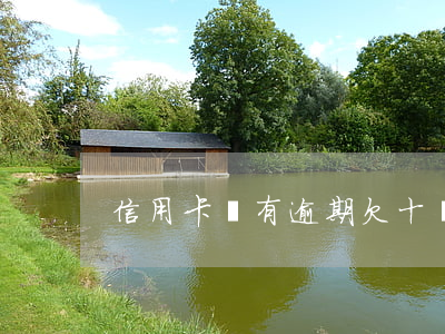 信用卡沒有逾期欠十萬怎么自救-