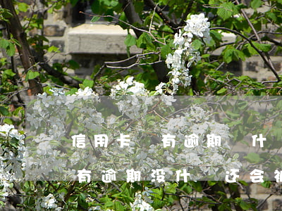 信用卡沒有逾期沒什麼還會被拒-信用卡没有逾期没什麼还会被拒信息吗