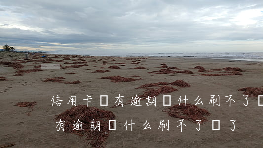 信用卡沒有逾期為什么刷不了錢-信用卡沒有逾期為什么刷不了錢了