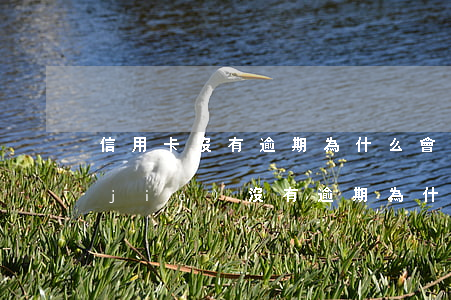 信用卡沒有逾期為什么會(huì)凍結(jié)(沒有逾期為什么信用卡被凍結(jié))
