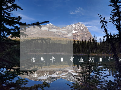 信用卡沒有逾期為什么會支付(沒注意信用卡逾期了)