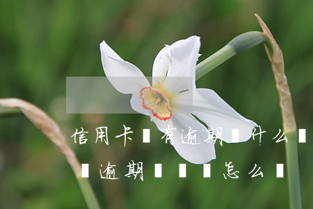信用卡沒有逾期為什么會有利息(欠信用卡的錢逾期沒還會怎么樣)