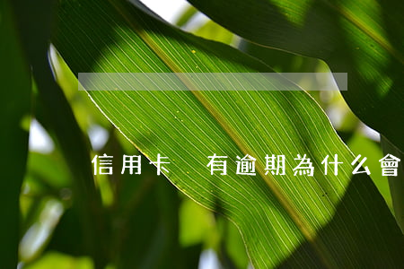 信用卡沒有逾期為什么會黑戶