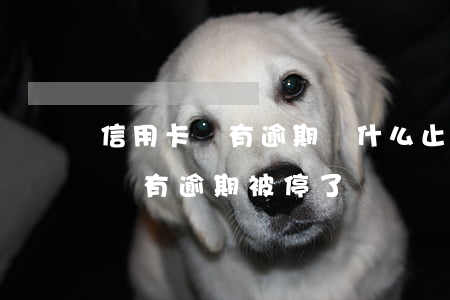 信用卡沒有逾期為什么止付了 為什么信用卡沒有逾期被停了?